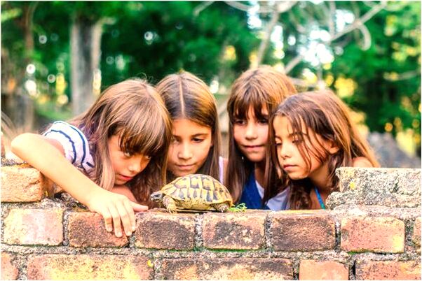 夢見擁抱陌生女人是什麼預兆_周公解夢官網