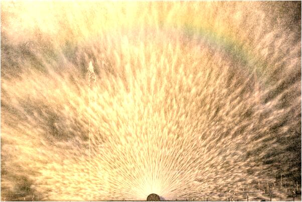 夢到了孩子聽話的叫人是好是壞_周公解夢官網