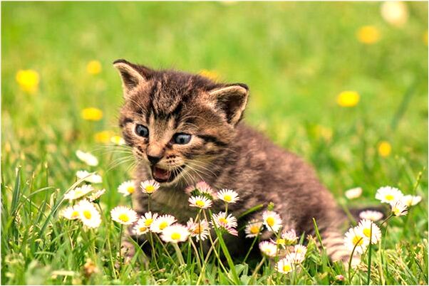 夢到圓木柱有什麼意義嗎_周公解夢官網