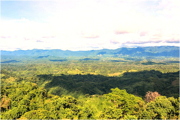 夢見自己被害怕的人追有什麼意思嗎_周公解夢官網