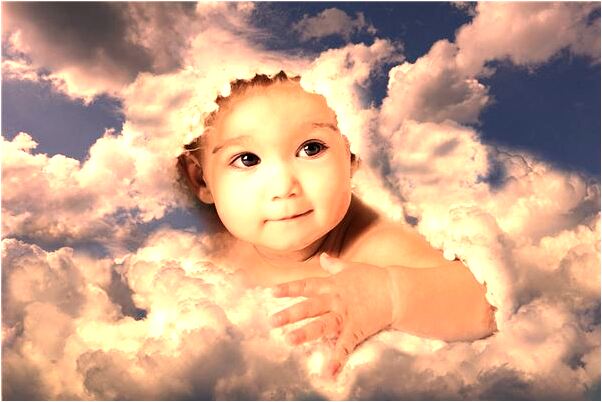 夢到了熊兒子是什麼預兆？_周公解夢官網