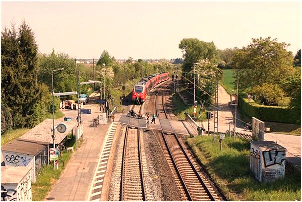 夢到青棗開裂有何寓意_周公解夢官網