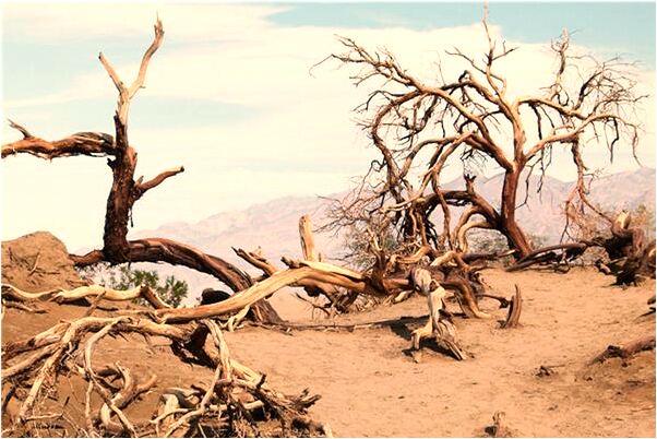 夢到了自已兒子沒穿衣服好不好_周公解夢官網