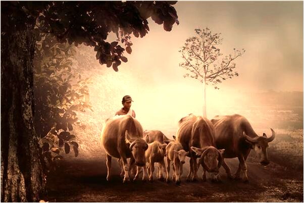 夢到了李書耀有什麼寓意嗎？_周公解夢官網