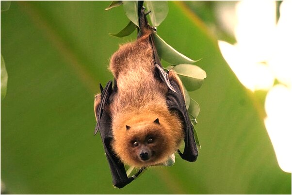 夢到了別人的房間裡掛滿衣服意味著什麼_周公解夢官網