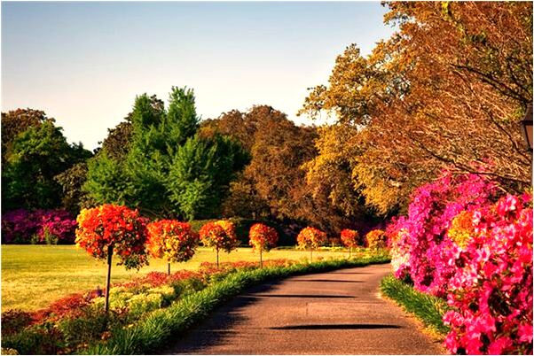 夢見自己把一個小鬼打死了是咋回事_周公解夢官網