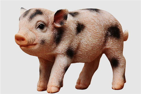 生肖豬2021年歲數表_十二生肖