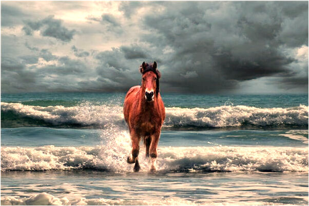 夢到了一個神仙怎么說_周公解夢官網