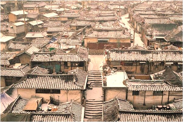 夢到養馬駒是好是壞_周公解夢官網