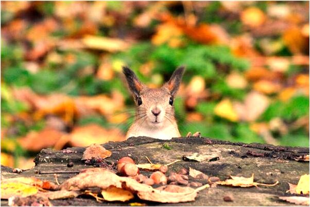 夢到黑色長裙子代表著什麼_周公解夢官網