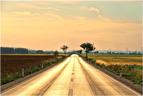 夢到駱新田是不是好的徵兆呢_周公解夢官網