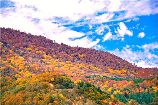 夢見和親家母家吵架有什麼含義_周公解夢官網