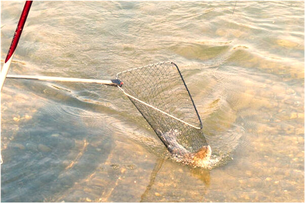 夢到了酒杯里酒弄灑一直加酒是什麼預兆_周公解夢官網