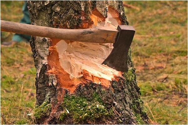 夢到在書上寫字是什麼徵兆_周公解夢官網