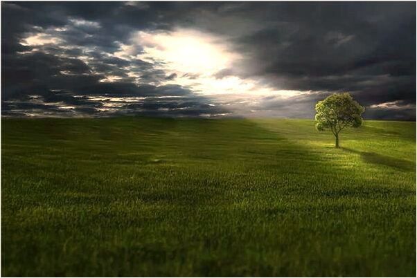 夢到別人還棉被是咋回事_周公解夢官網