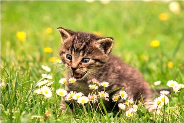 夢到了鞋子脫膠了老爸對我很失望是什麼意思_周公解夢官網