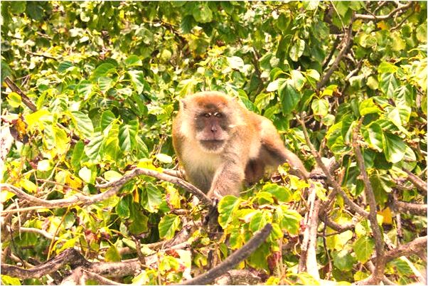 夢到了剛剛過世的母親怎么樣_周公解夢官網
