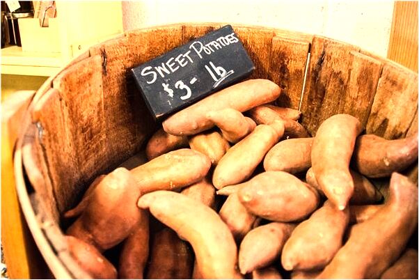 夢到溫泉水裡撿鞋子有什麼意思_周公解夢官網