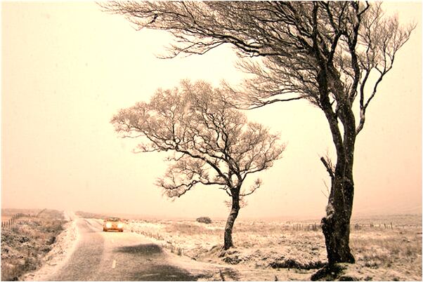 夢見女兒掉進廁所有什麼預兆_周公解夢官網