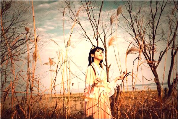 夢見桌椅子準備請人吃飯預示著什麼_周公解夢官網