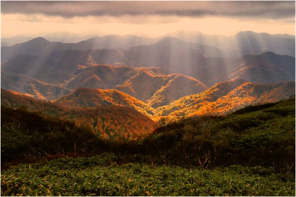夢見點亮好多蠟燭有什麼意義嗎_周公解夢官網
