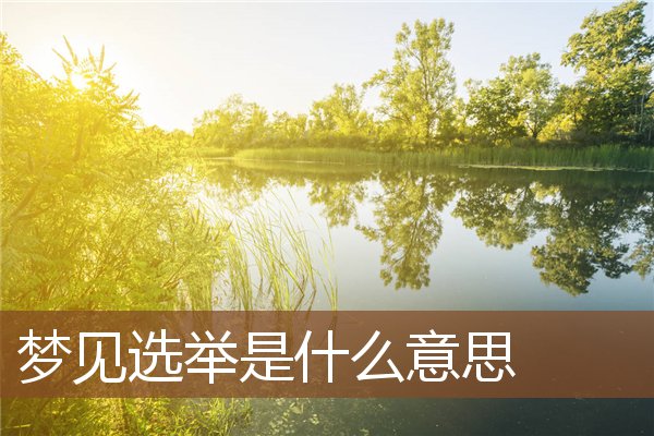 夢見選舉是什麼意思_周公解夢