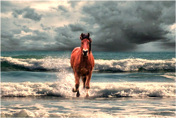 夢到褲子被咬破是什麼意思_周公解夢官網