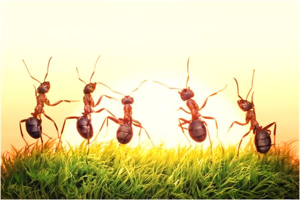 夢見自己被黃河水淹怎么樣_周公解夢官網