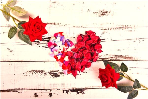 夢見兩隻白狗在交媾預示了什麼_周公解夢官網