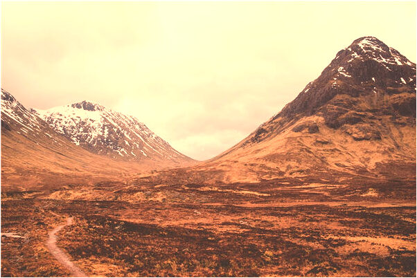 夢見懷孕夢蛇是什麼預兆?_周公解夢官網