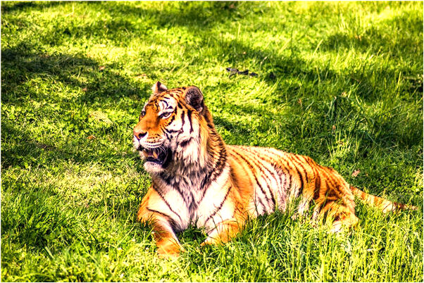 夢到陌生人死訊有什麼徵兆_周公解夢官網