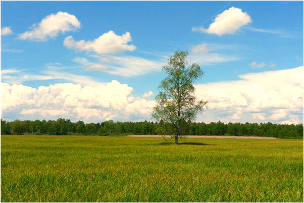 夢見錢在我褲兜里有什麼意義嗎_周公解夢官網