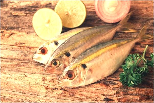 夢見捕捉大老鼠有什麼說法_周公解夢官網