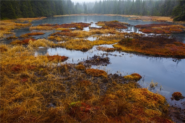 夢到陷進泥潭是凶兆還是吉兆_周公解夢