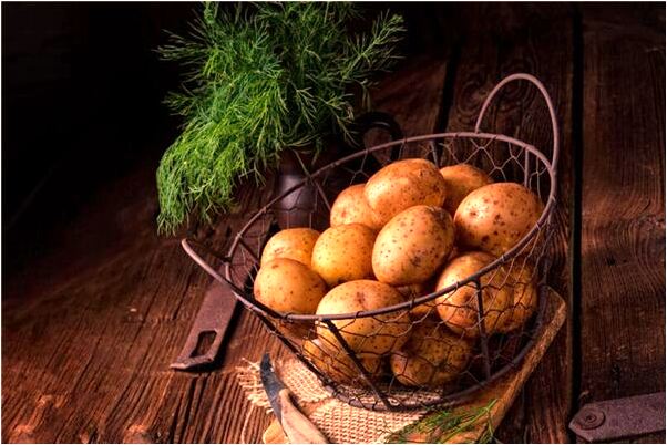 夢見小男孩說跟著我走會怎么樣_周公解夢官網