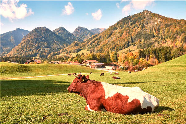 夢見船風浪是不是好的徵兆呢_周公解夢官網