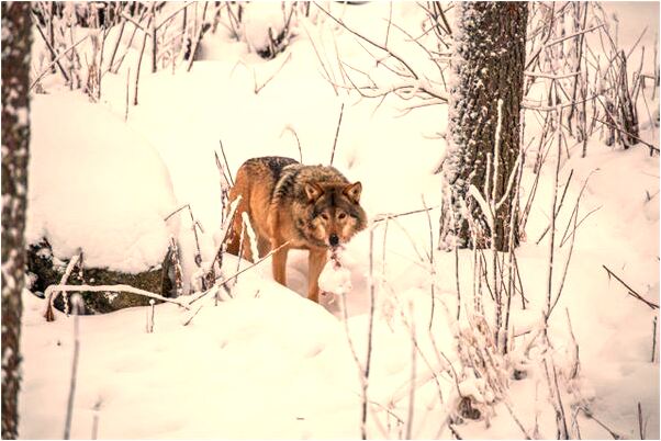 夢到了淺色門帘代表著什麼?_周公解夢官網