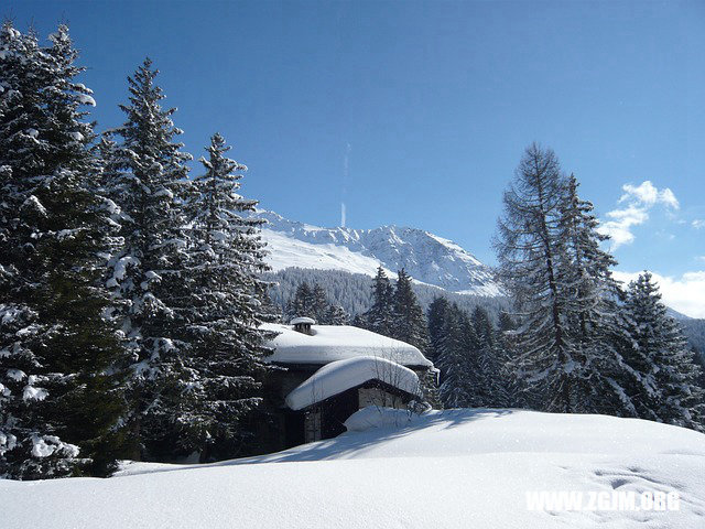 夢見拔了一顆茄子苗_周公解夢夢到拔了一顆茄子苗是什麼意思_做夢夢見拔了一顆茄子苗好不好_周公解夢官網