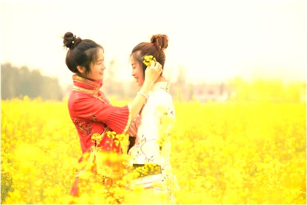 夢到窗戶里長樹枝預兆了什麼嗎_周公解夢官網