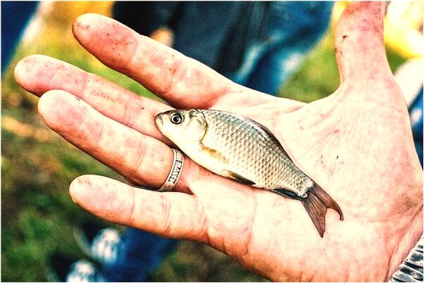 夢到了自己抽血給母親用代表著什麼_周公解夢官網