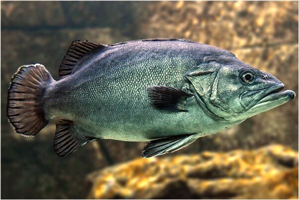 夢見琉璃塔有什麼預兆_周公解夢官網