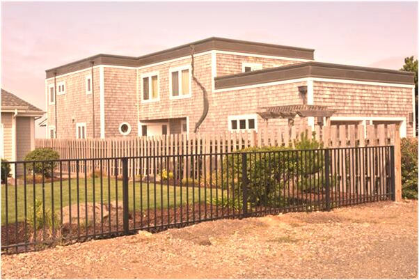 夢見兩隻狗追咬我會是什麼預兆_周公解夢官網