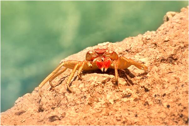 夢見相親等人結果沒等到人會是什麼預兆_周公解夢官網