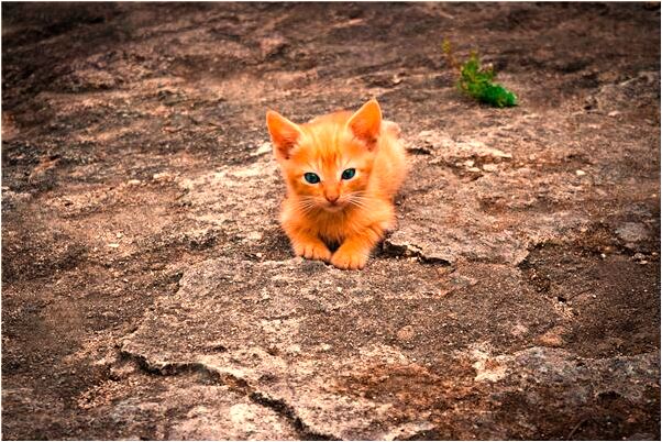 夢到自己和男同學一起代表著什麼？_周公解夢官網