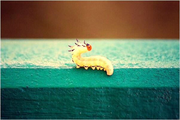 夢見理想型代表著什麼_周公解夢官網