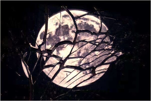 夢見兩雙鞋是什麼意思_周公解夢官網