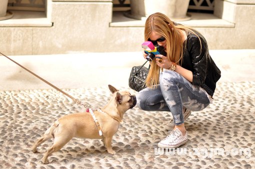 12星座女的綻放姿態_十二星座