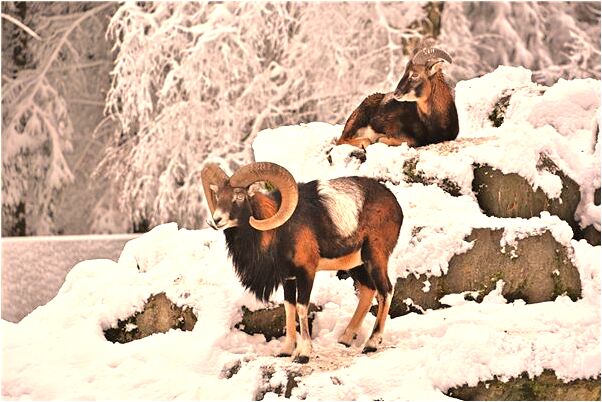 夢見我死去的外公跟我說話意味著什麼_周公解夢官網