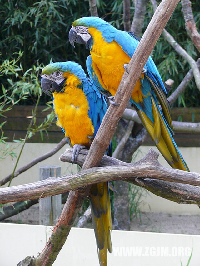 夢見父親對自己性騷擾_周公解夢夢到父親對自己性騷擾是什麼意思_做夢夢見父親對自己性騷擾好不好_周公解夢官網