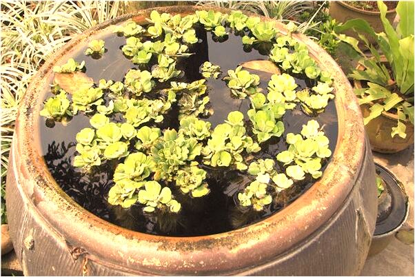 夢到了自己兩個中指流血有什麼寓意嗎？_周公解夢官網